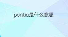 pontia是什么意思 pontia的中文翻译、读音、例句