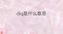 diq是什么意思 diq的中文翻译、读音、例句