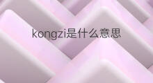 kongzi是什么意思 kongzi的中文翻译、读音、例句