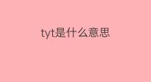 tyt是什么意思 tyt的中文翻译、读音、例句