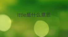 lttle是什么意思 lttle的中文翻译、读音、例句