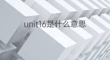 unit16是什么意思 unit16的中文翻译、读音、例句