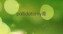 pallidotomy是什么意思 pallidotomy的中文翻译、读音、例句