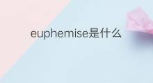 euphemise是什么意思 euphemise的中文翻译、读音、例句