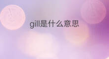 gill是什么意思 gill的中文翻译、读音、例句