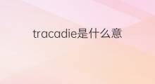 tracadie是什么意思 tracadie的中文翻译、读音、例句
