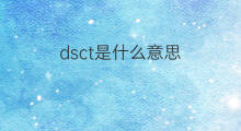 dsct是什么意思 dsct的中文翻译、读音、例句