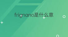 frignano是什么意思 frignano的中文翻译、读音、例句