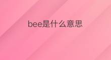 bee是什么意思 bee的中文翻译、读音、例句