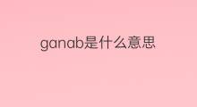 ganab是什么意思 ganab的中文翻译、读音、例句