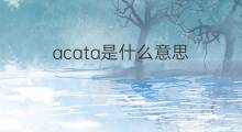 acata是什么意思 acata的中文翻译、读音、例句