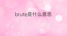 brute是什么意思 brute的中文翻译、读音、例句
