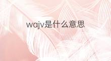 wajv是什么意思 wajv的中文翻译、读音、例句
