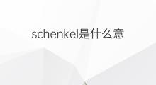 schenkel是什么意思 schenkel的中文翻译、读音、例句