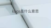 kuas是什么意思 kuas的中文翻译、读音、例句