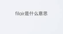 filair是什么意思 filair的中文翻译、读音、例句