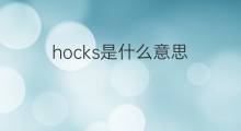 hocks是什么意思 hocks的中文翻译、读音、例句