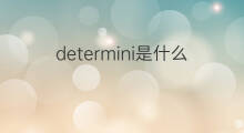 determini是什么意思 determini的中文翻译、读音、例句