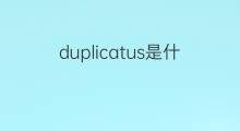 duplicatus是什么意思 duplicatus的中文翻译、读音、例句