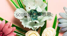 scott是什么意思 scott的中文翻译、读音、例句