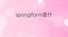 spongiform是什么意思 spongiform的中文翻译、读音、例句
