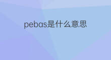 pebas是什么意思 pebas的中文翻译、读音、例句