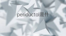 periductal是什么意思 periductal的中文翻译、读音、例句