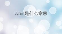 waic是什么意思 waic的中文翻译、读音、例句