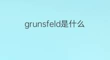 grunsfeld是什么意思 grunsfeld的中文翻译、读音、例句