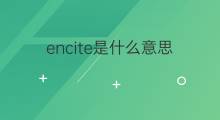 encite是什么意思 encite的中文翻译、读音、例句