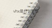 vhx是什么意思 vhx的中文翻译、读音、例句