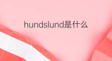 hundslund是什么意思 hundslund的中文翻译、读音、例句