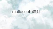 mallacoota是什么意思 mallacoota的中文翻译、读音、例句