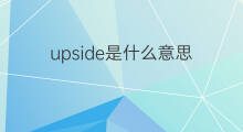 upside是什么意思 upside的中文翻译、读音、例句