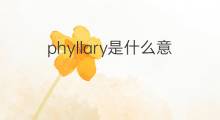phyllary是什么意思 phyllary的中文翻译、读音、例句