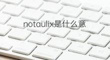notaulix是什么意思 notaulix的中文翻译、读音、例句