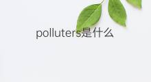 polluters是什么意思 polluters的中文翻译、读音、例句