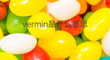 vermin是什么意思 vermin的中文翻译、读音、例句