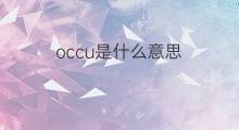 occu是什么意思 occu的中文翻译、读音、例句