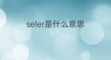 seler是什么意思 seler的中文翻译、读音、例句