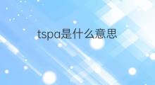 tspa是什么意思 tspa的中文翻译、读音、例句