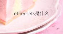 ethernets是什么意思 ethernets的中文翻译、读音、例句