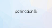 pollination是什么意思 pollination的中文翻译、读音、例句
