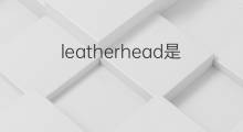leatherhead是什么意思 leatherhead的中文翻译、读音、例句