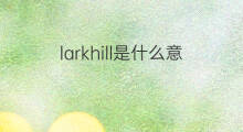 larkhill是什么意思 larkhill的中文翻译、读音、例句