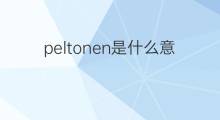 peltonen是什么意思 peltonen的中文翻译、读音、例句