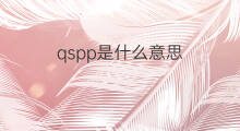 qspp是什么意思 qspp的中文翻译、读音、例句