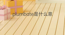 plumbate是什么意思 plumbate的中文翻译、读音、例句
