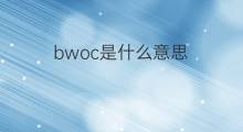 bwoc是什么意思 bwoc的中文翻译、读音、例句