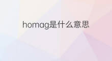 homag是什么意思 homag的中文翻译、读音、例句